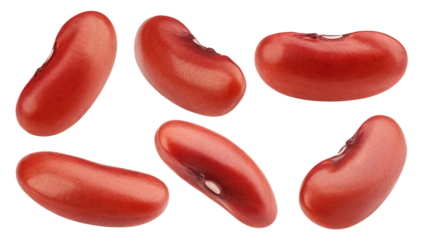 red kidney bean, isolated on white background, full depth of field