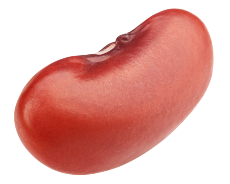 red kidney bean, isolated on white background, full depth of field
