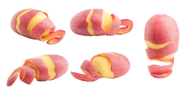 potato, isolated on white background, full depth of field