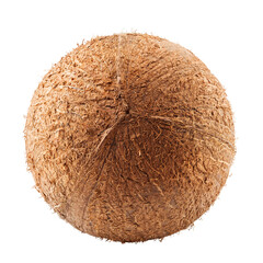 coconut, isolated on white background, full depth of field