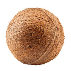coconut, isolated on white background, full depth of field