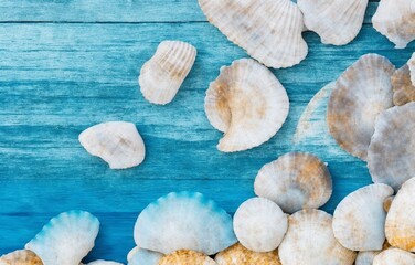 Sea shells on grunge background (Generative AI)

 - obrazy, fototapety, plakaty