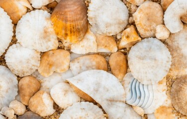 Sea shells on grunge background (Generative AI)