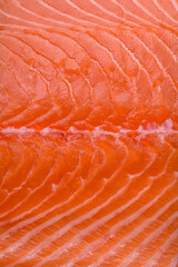 Fresh raw salmon red fish fillet with salt and spices