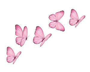 Image of butterflies and flowers printed on Printed Glass Basin Splashbacks