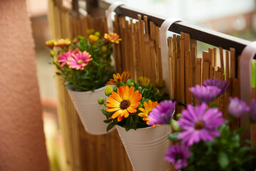 Floral balcony decor is a home concept.