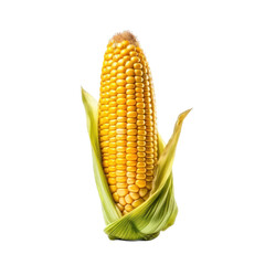 Corn isolated on white