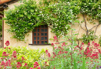 Fototapeta na wymiar Spanish style house with overgrown garden