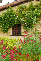 Fototapeta na wymiar Adobe style cottage with overgrown garden