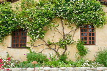 Fototapeta na wymiar Old Spanish house with espalier between the front windows