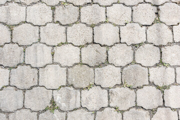 Textura de piso, camino de piedras apiladas que cubren el piso con vegetacion sobresaliendo de ellas