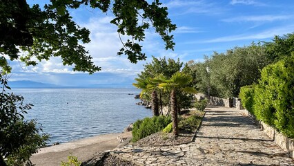 Fototapeta na wymiar Road along mediterranean sea with palm tree