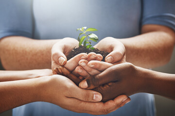 Plant, hands and group of people gardening, agriculture and business growth or collaboration,...