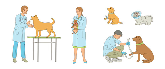 women and man veterinarian examines a dog. Veterinary clinic, medical service or pet medical center