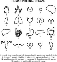 20 Human internal organs icons