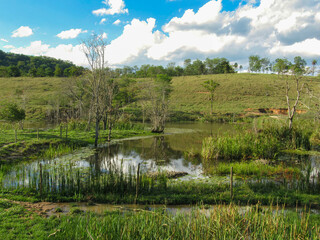 beautiful rural landscape brazil