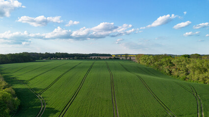 Green agricultural fields.