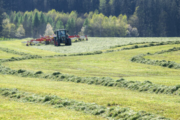 Traktor mit Hydraulik Greiselschwader bei der Grasernte