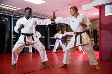 Fototapeta premium African-american and caucasian men in kimono and belts fighting against each other during karate training in gym.