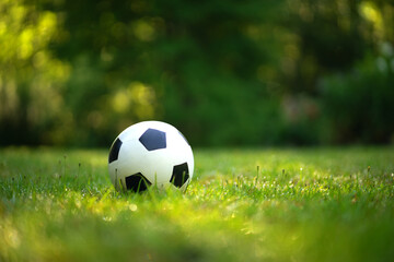 A rubber soccer ball on the green grass in the park.Playing football in the fresh air. A white ball with black squares.Active outdoor sports. © Svetliy