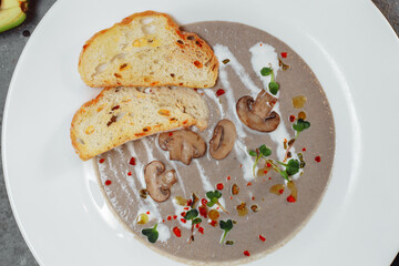 Mushroom cream soup and ingredients on grey background, close up