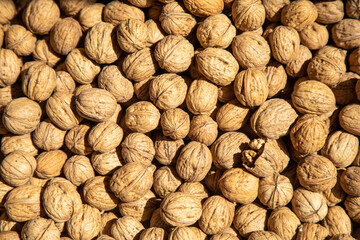 Walnuts pattern and wallpaper