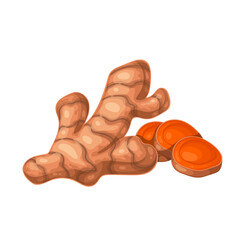 Tumeric whole root and slices vector illustration. Cartoon isolated natural raw tuber of Curcuma longa and round orange turmeric pieces for cooking curry and seasoning food, Ayurveda medicine