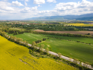 Blooming rapeseed field near village of Kostievo, Bulgaria