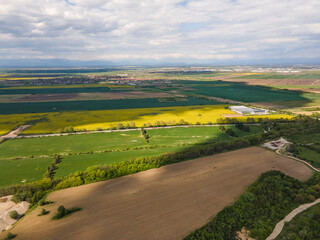 Blooming rapeseed field near village of Kostievo, Bulgaria