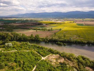 Fototapeta na wymiar Blooming rapeseed field near village of Kostievo, Bulgaria