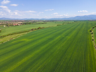 Upper Thracian Plain near town of Asenovgrad, Bulgaria