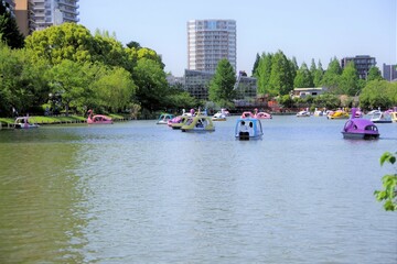 Naklejka premium 上野公園のボート池