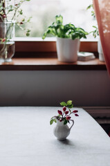 Rosehip branches in a ceramic vase on the table.