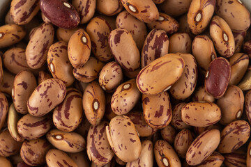Raw pink beans close-up. Protein protein. Horizontal photo.