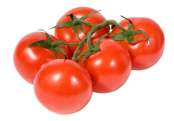 Red ripe tomatoes on a green branch on a white background, healthy vegetable