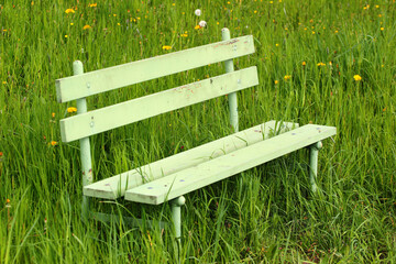 Green bench in green grass