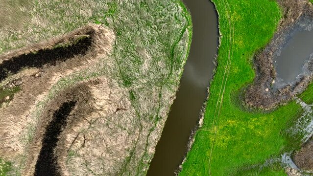 Top view of small river Lyna flowing in Warmia, northern Poland, Europe
