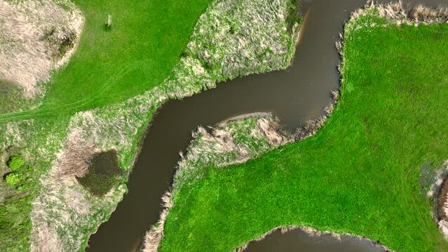 Top view of small river Lyna flowing in Warmia, northern Poland, Europe