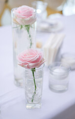 delicate pink watercolor roses in an elegant vase