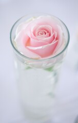 delicate pink watercolor roses in an elegant vase
