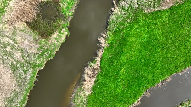 Top view of small river Lyna flowing in Warmia, northern Poland, Europe