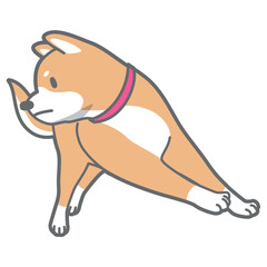 Obraz premium 走る柴犬のベクターイラスト