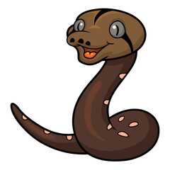 Cute golden child phantom reticulatus python cartoon