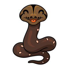 Cute golden child phantom reticulatus python cartoon