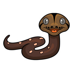 Cute golden child phantom reticulatus python cartoon