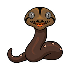 Cute golden child phantom reticulatus python cartoon