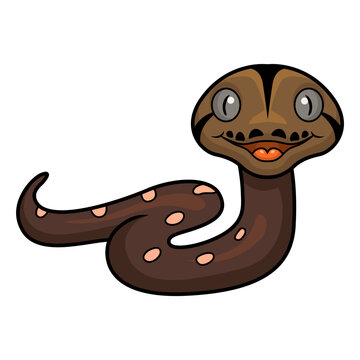 Cute golden child phantom reticulatus python cartoon