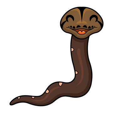 Cute golden child phantom reticulatus python cartoon