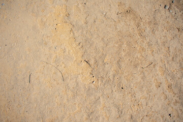 Stucco Texture. View of sandy beach. Background with copy space and visible sand texture. 