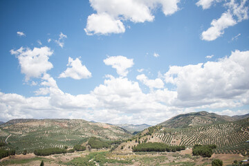 Landscape with mountains full of olive trees and a clear sky. Typical landscape of the Spanish coasts. Typical Spanish landscape.